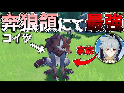 [Genshin Impact] I want to protect Mondstadt from the invincible wolf creatures that suddenly app...