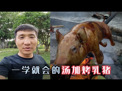 《汤加》第9天:花500元买到一只会赶海的猪,烤起来那是相当美味!#旅行 #旅行攻略 #环球旅行 #汤加 #烤乳猪