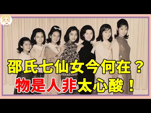 曾火遍大江南北的邵氏七仙女，有人暴斃有人消失讓人心酸，如今只剩鄭佩佩還在打拼了#邵氏七仙女 #鄭佩佩 #一隻細細粒