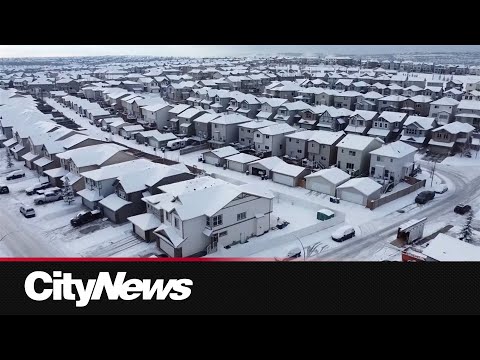 Calgarians share mixed opinions on Blanket Rezoning ahead of public hearing