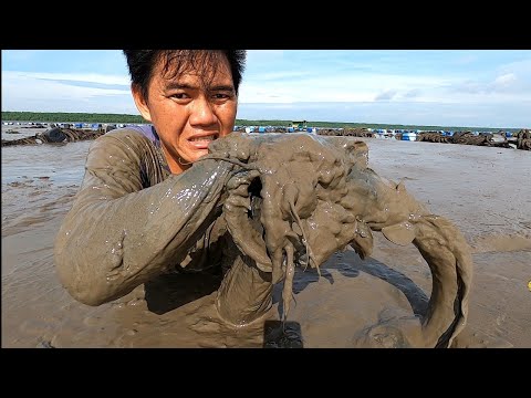 The Season of Giant Mantis Shrimp and Talking Catfish/Dat Nguyen Can Gio