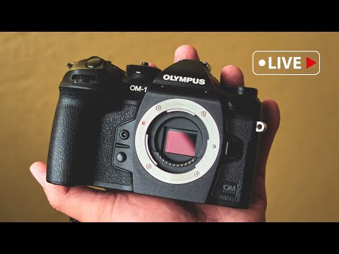 OM System Ranked 4th For Best Wildlife Camera - Do You Agree?