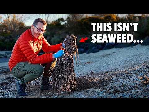 The Most DISGUSTING BEACH In Northern Ireland (Hidden for 50 years)