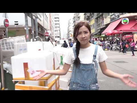 東張西望 |  垃圾屋奇母女(I) | 垃圾 | 鼠患 | 業主 | 少女