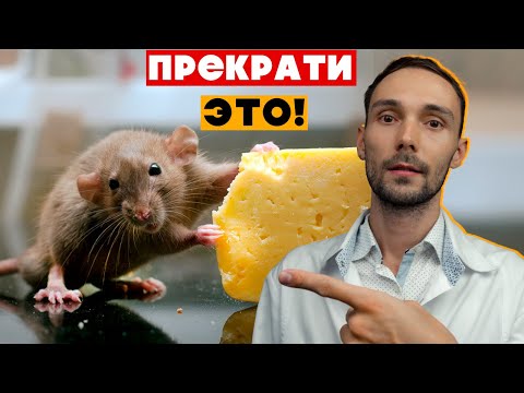 15 Things Pet Rats Hate | A Vet on the Biggest Mistakes Owners Make