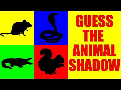 Guess the REPTILES and RODENTS from Their Shadow | Quiz Game for Kids, Preschoolers and Kindergarten
