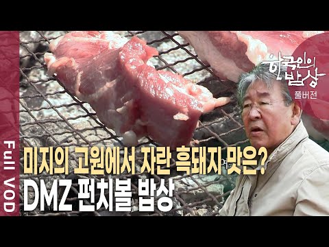 DMZ 펀치볼 흑돼지 밥상!  멧돼지+ 흑돼지 '교배종' 지구상 최고의 육질~  [한국인의밥상 KBS 20170608 방송]