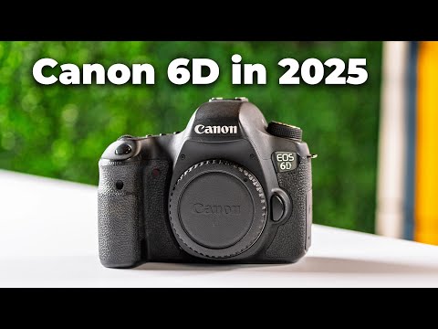 Canon 6D in 2025 | The Perfect Camera Under $300?