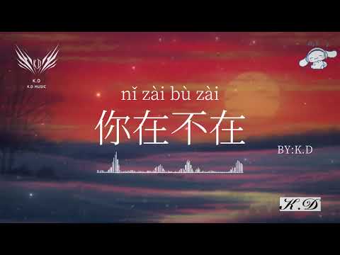 《我期待的不是雪》流行歌曲合輯【動態歌詞/Pinyin Lyrics】♫超好聽的流行歌曲(Cover by K.D)駕車必備