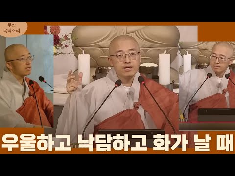 [황벽46] 우울하고 낙담하고 화가 날 때