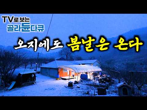 🌸 1시간동안 '오지의 봄' 몰아보기 🌸 아무도 없는 조용한 바다, 산골 오지 사람들이 봄마중 하는 방법｜한국기행｜#tv로보는골라듄다큐