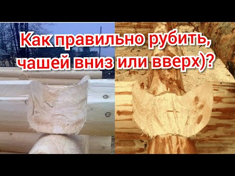 Зачем ВСЕ РУБЯТ ЧАШЕЙ ВНИЗ? В чем подвох.