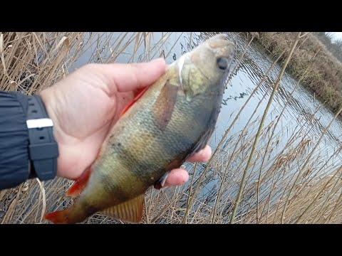 Painted the sinker and the bite started. DUO Tetra Works React TWRT-50