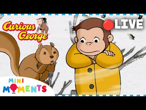 LIVE π΄ George's Snowy Winter FUN! βοΈ π΅ Non-Stop Curious George Episode Clips π΅ Mini Moments
