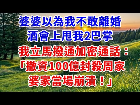 婆婆以為我不敢離婚，酒會上甩我2巴掌，我立馬撥通加密通話：撤資100億封殺周家，婆家當場崩潰！#詩涵講故事#為人處世#生活經驗#情感故事#晚年哲理#說故事#完結文#原創故事