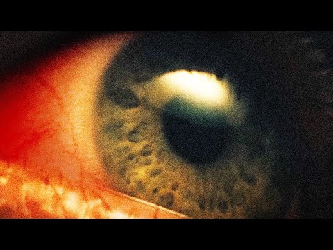 Birds Do Not Sing in Caves