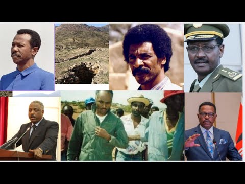 ቊጽሪ 75: "ቅልጣፈዂም ከም በርቂ'ዩ!"