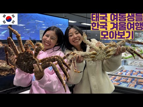 설날특집 태국 여동생들 한국 겨울여행 모아보기