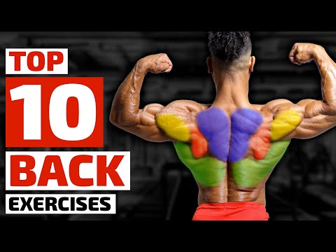 Top Trainers Agree, These are the 10 Best Exercises for Building a Bigger Back