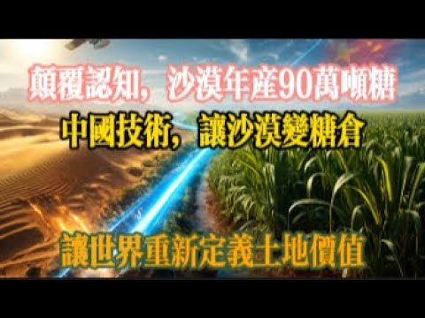 沙漠種糖？中國的 “荒漠革命”，讓世界重新定義土地價值