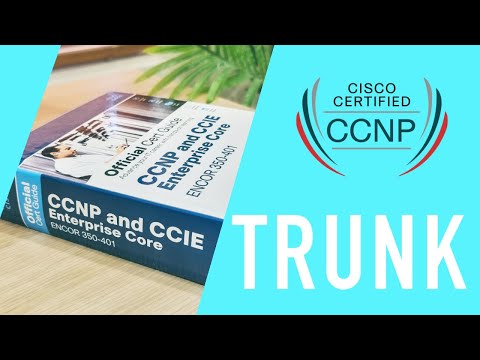 How To Understand 'Show Interface Trunk' Configuration