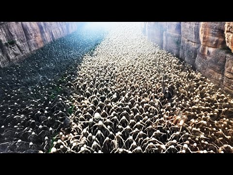 U.S. Cut the Surface of the Land in Nevada And What They Found Shocked the World