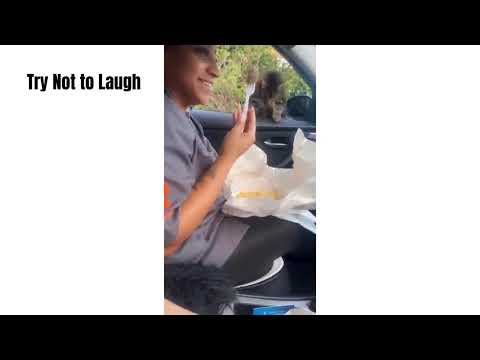 Try Not to Laugh Challenge (IMPOSSIBLE) Laugh and You Lose! Part 1
