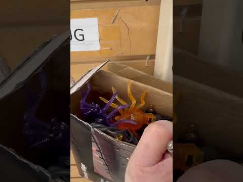 All Aboard the Thrifting Shopping Cart! ✅ #ebay #thrifting #bolofinds #ebayposhmark