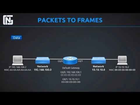 Routers, Switches, Packets and Frames