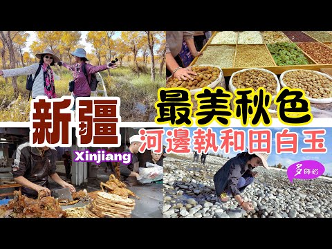 【新疆攻略】🤩穿越塔克拉瑪干沙漠公路💖胡楊林滿眼金黃+步步美景👍和田河白玉任你執♦️買乾果手信又平又靚.澤普胡楊林.和田團城