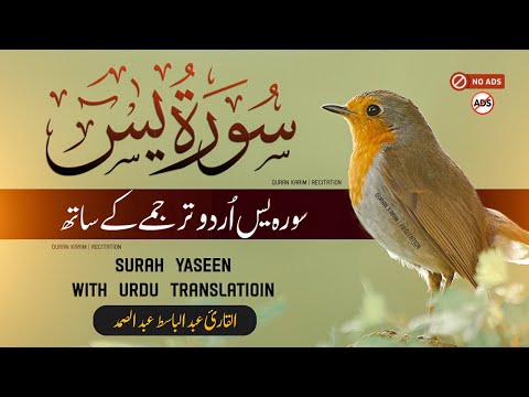 Surah Yasin (Yaseen) | Full With Urdu Translation | Tarjuma ke Sath |  یس سورۃ  | Shaikh Abdul Basit