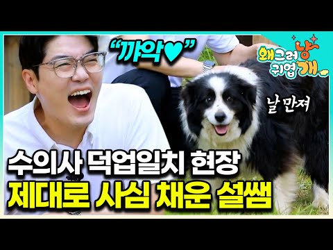 "이런 곳에 집이 있다고?" 전기도 안 들어오는 오지에서 만난 행복한 4마리의 강아지들. 이들의 문제 행동은?│#왜그러냥귀엽개