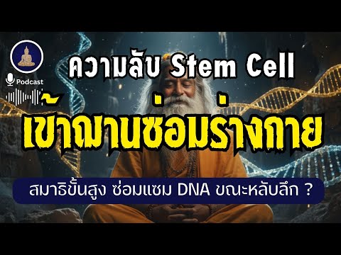 วิธี "รีบูทร่างกาย" ขณะหลับด้วยฌานสมาธิ I #นะโมพุทธายะ