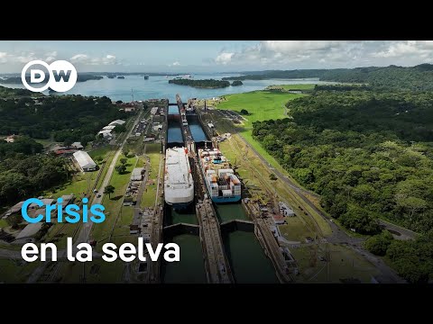 Panamá: cuello de botella del comercio global y negocio para traficantes | DW Documental