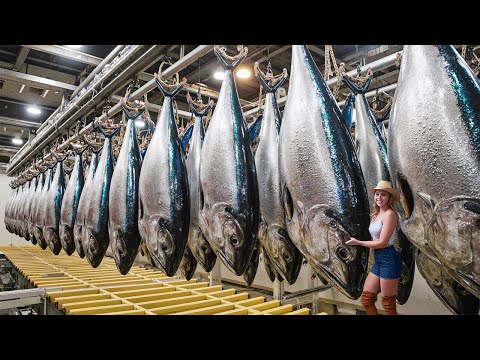 Inside the Sardine Canning Factory 🐟🥫 | Catching and Packing 300,000 Cans a Day!