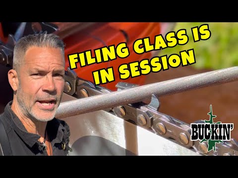 Beginner or Expert? Same Principles Apply, Chainsaw Filing School 