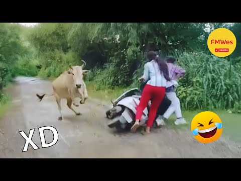 SI TE RÍES PIERDES NIVEL DIOS #569 🤣 ¡TOTALES IDIOTAS EN EL TRABAJO 😆 VIDEOS DE RISA 2025 😂