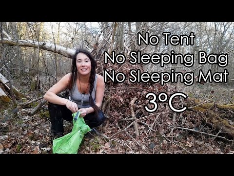 OVERNIGHT SURVIVAL in 3°C: Fallen Tree & Debris Shelter
