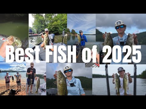 Top 5 BEST FISH from 2025