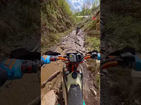 Perfect vibes in Romania! 🇷🇴🎥 Shot on @insta360 Ace Pro2 #insta360 #insta360motorcycle