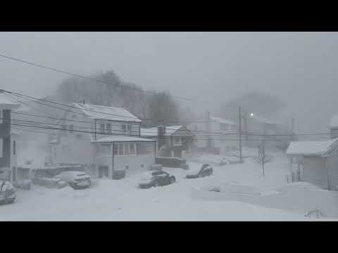 Blizzard 2026: Winds howl, snow pours down in Boston neighborhood