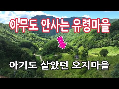 A bat is acting like it owns an abandoned house, and a baby is living there too.