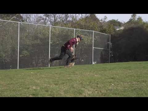 DJI RavenEye Tracking Test (A7C, RSC-2, ActiveTrack)