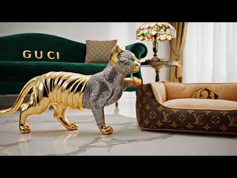 Paris Hiltons Cat , Blinged in, Iced Out with Mustard on the mittens and Sapphire Eyes and 1 C Gucci