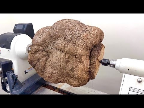 Who Wants To See What’s Inside This Giant Tree Wart? - Woodturning / Woodworking