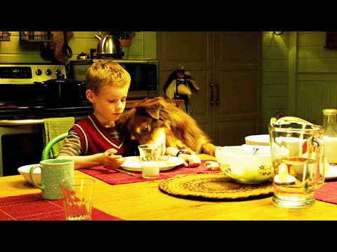 一部我珍藏很久的宝藏电影，太美太治愈，心情低落时不妨看看！【光影】