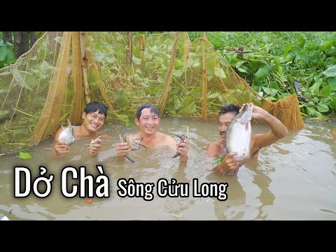 Dở Chà Bắt Cá Chạch Lấu Khủng ven Sông Mê Kông | Nét Quê #248