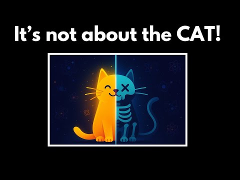 I finally understood the Schrödinger cat! (My mind is blown)