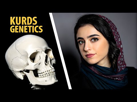 Why The DNA of the Kurds Is So Unique?