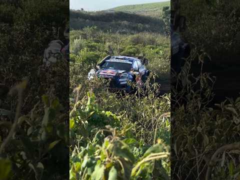 McErlean WRC Safari Rally Kenya 2025 #leandrolemosmotorsport